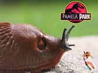 pamela_park