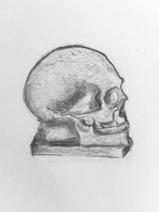 busta-portret
